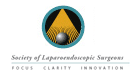 Logo sls